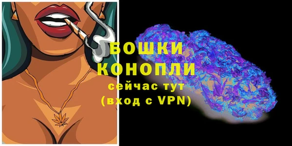 2c-b Гусиноозёрск