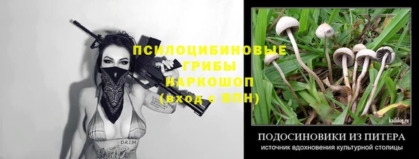 мет Дмитров