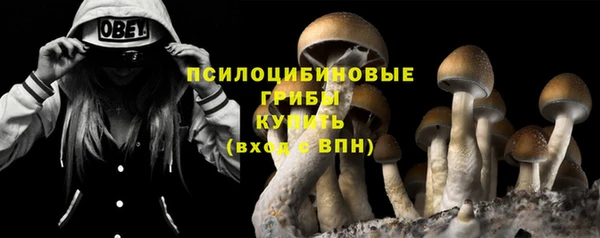 бошки Переславль-Залесский