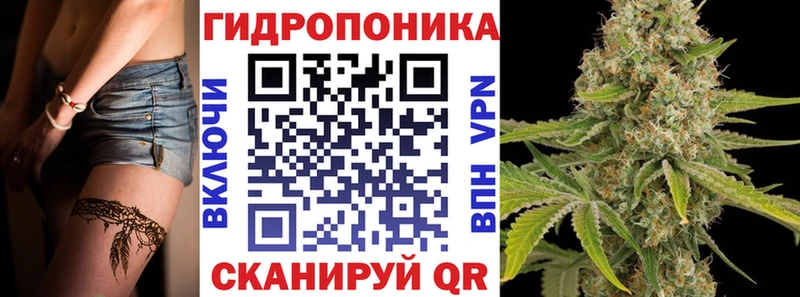 Шишки марихуана White Widow  Купить где  Киселёвск 